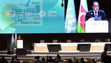 قمة COP29: نحو مستقبل مستدام لمواجهة التغيرات المناخية