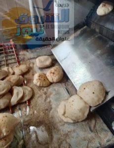 يحرر 295محضرا بمخالفات متنوعه