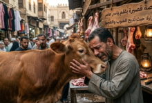 قصة قصيرة بقلم ياسر عامر 